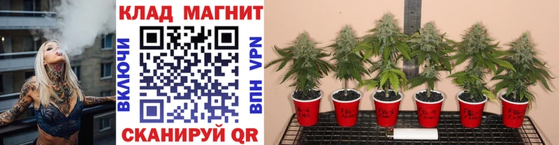 Виды наркоты Дубовка СОЛЬ  Амфетамин  Гашиш  МЕФ  Конопля  Кокаин 