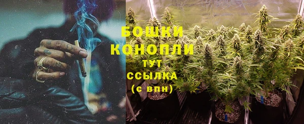 мяу мяу кристалл Богданович