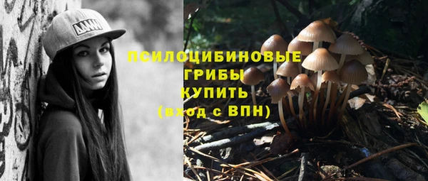 мяу мяу кристалл Богданович